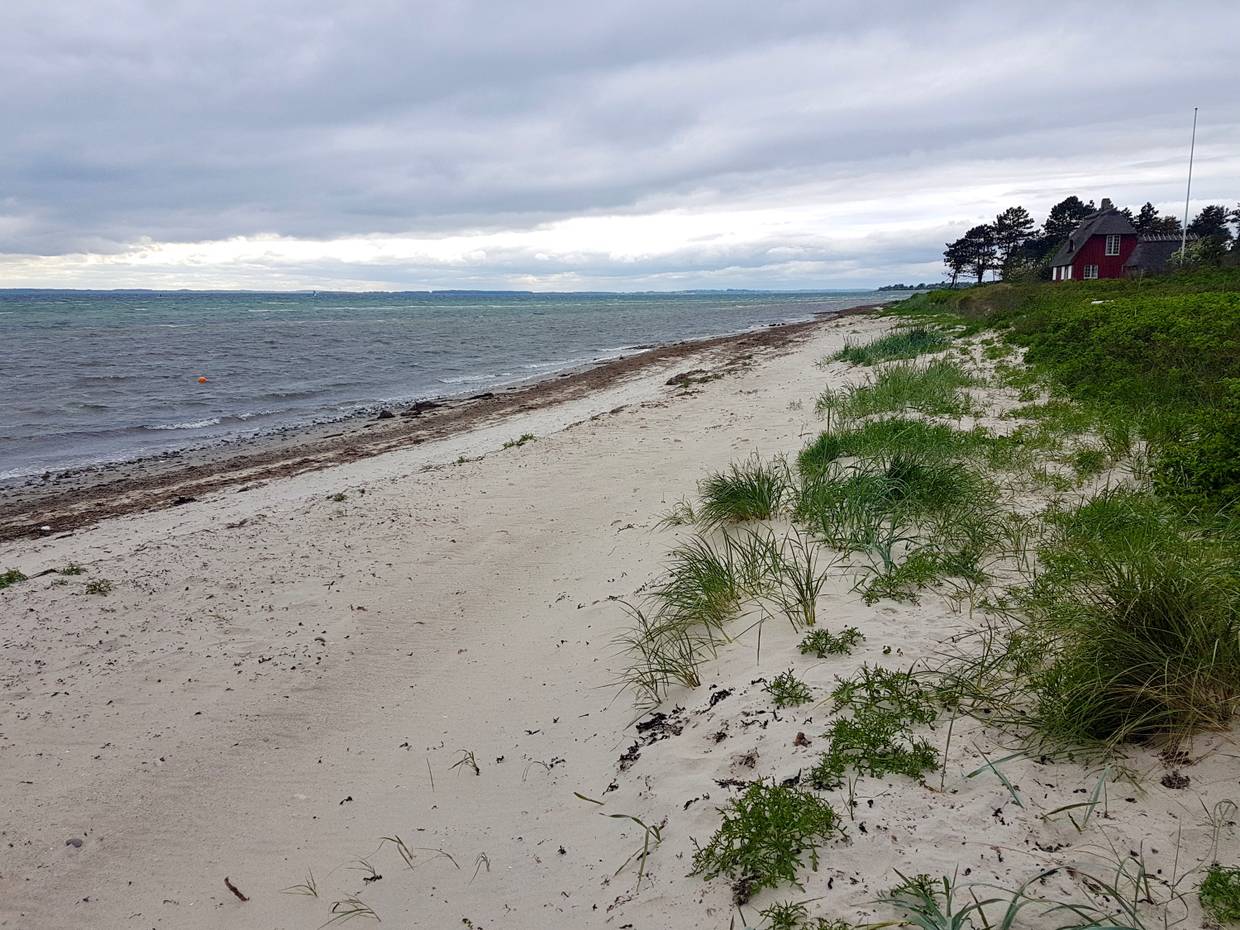 Weißer Sandstrand, aber Ufer Seegras und Tang