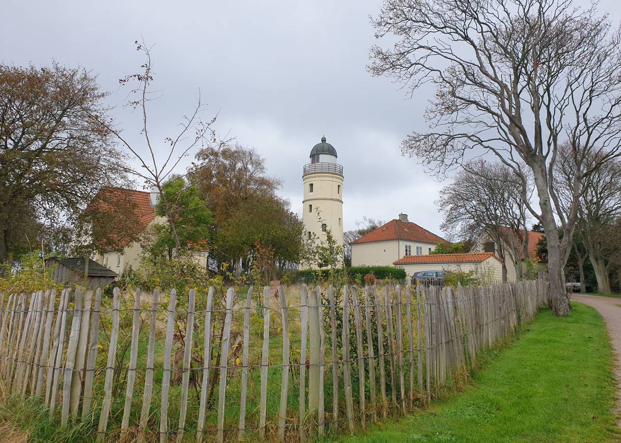 Blick über einen Holzzaun auf einen Garten und einen gelben Leuchtturm