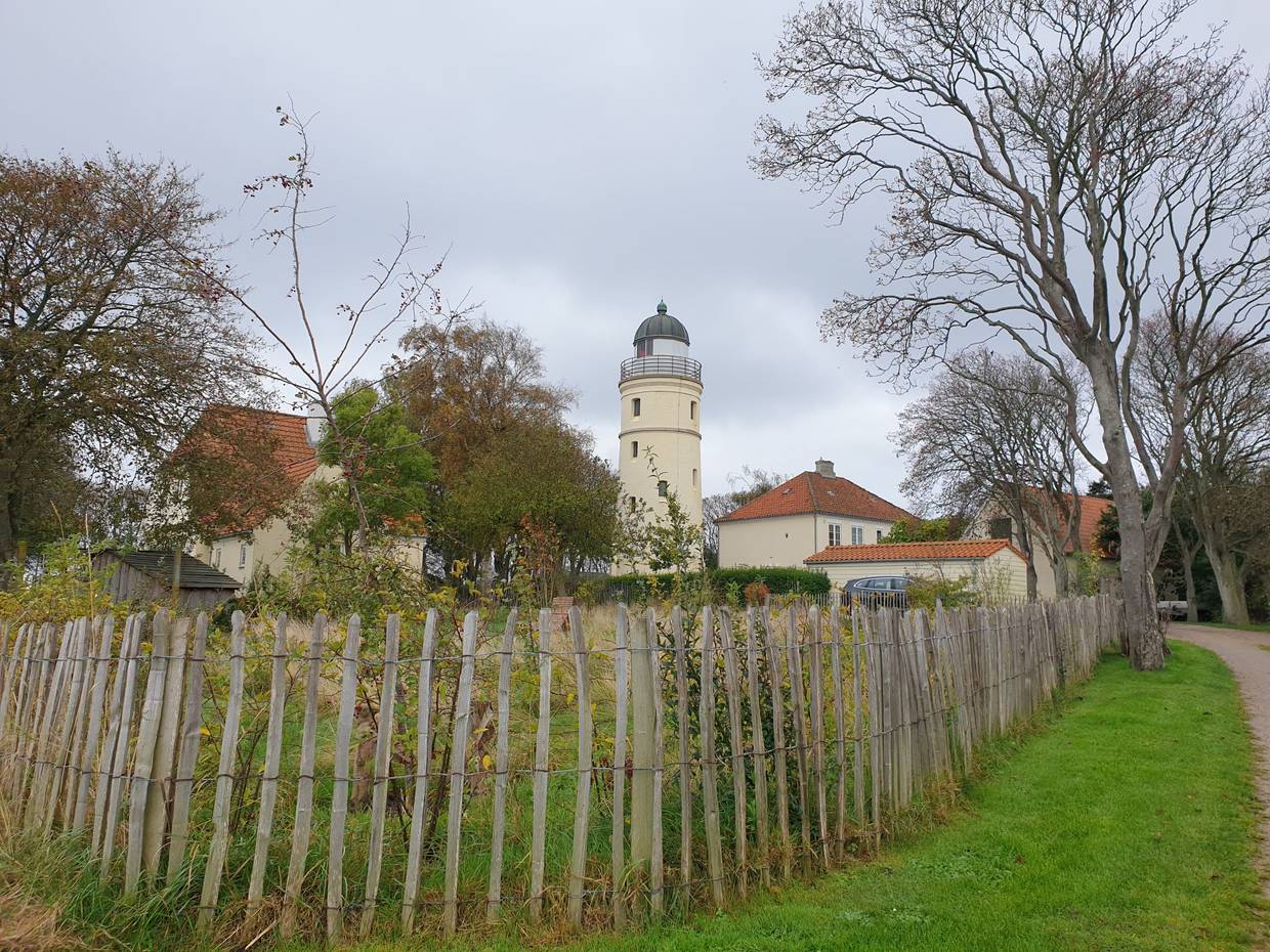 Blick über einen Holzzaun auf einen Garten und einen gelben Leuchtturm