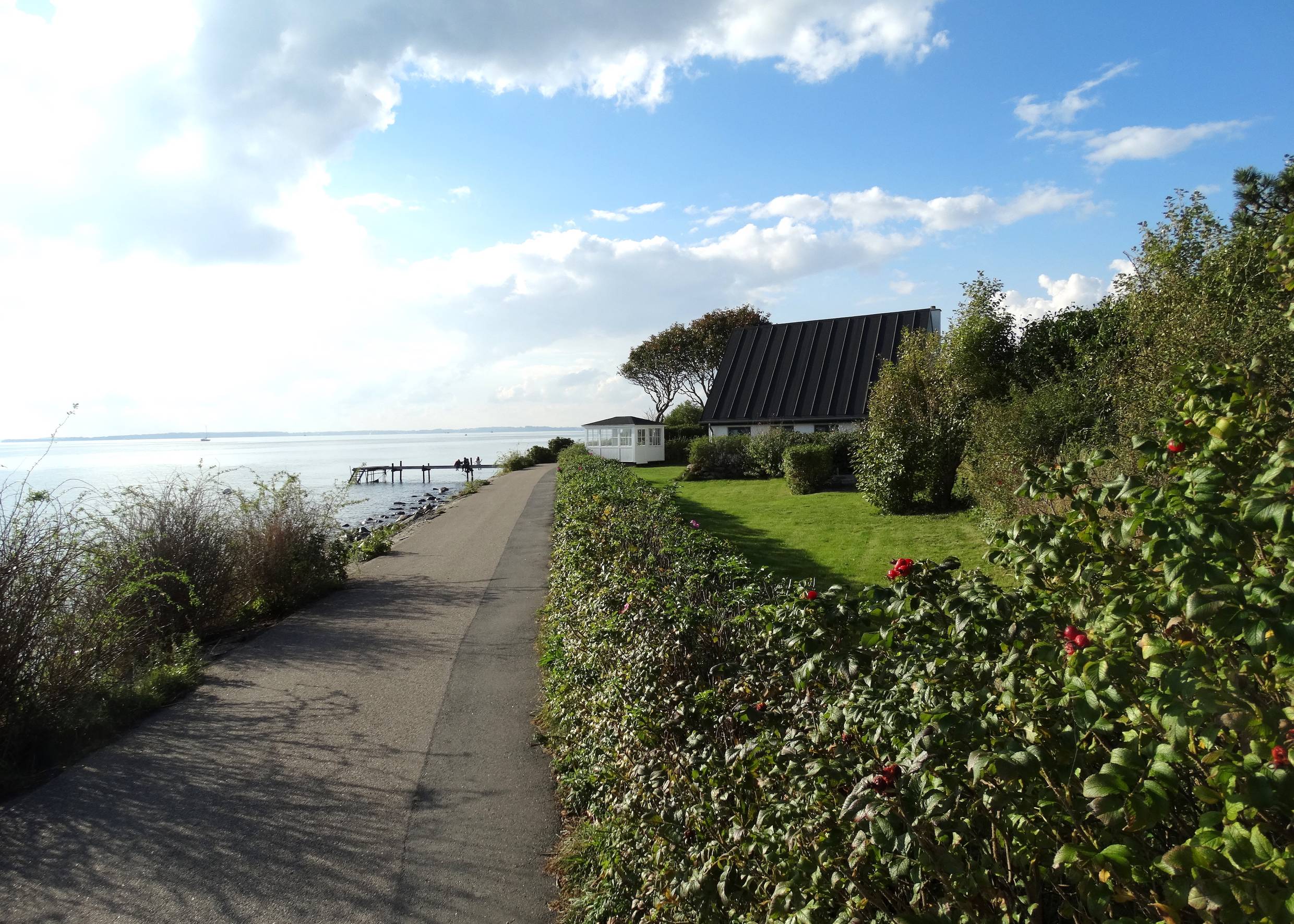 Geteerter Weg zwischen dem Meer und einem Garten