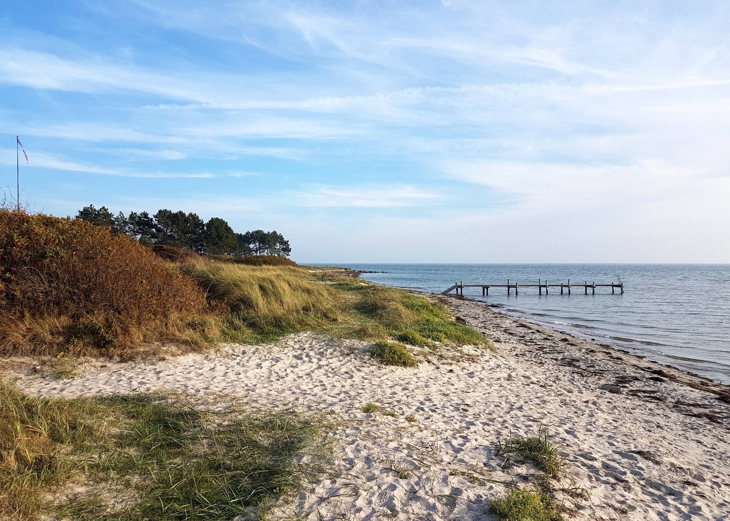 Sehr schmaler Strand mit einem Steg, im Hintergrund Kiefernwald