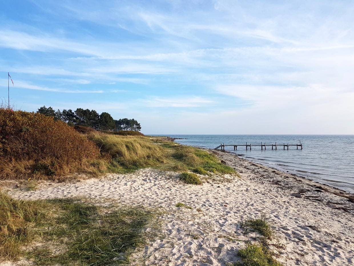 Sehr schmaler Strand mit einem Steg, im Hintergrund Kiefernwald