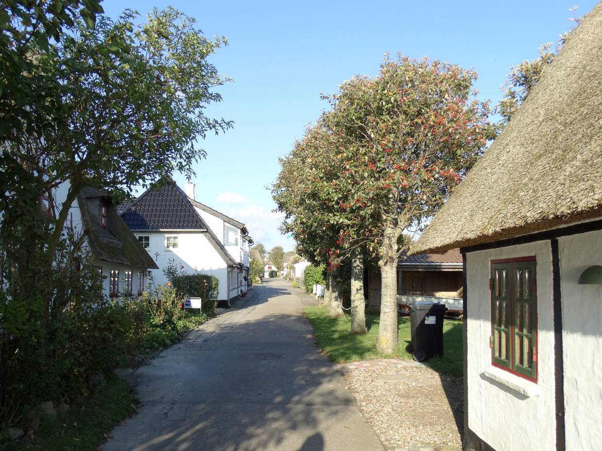 Schmale Straße mit Bäumen und weißen Reetdachäusern