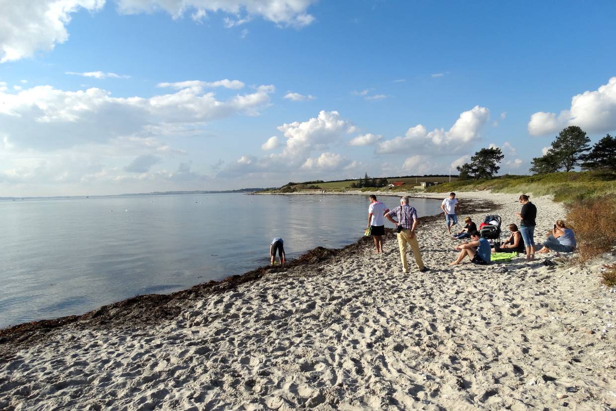 Foto von Sønderby Strand