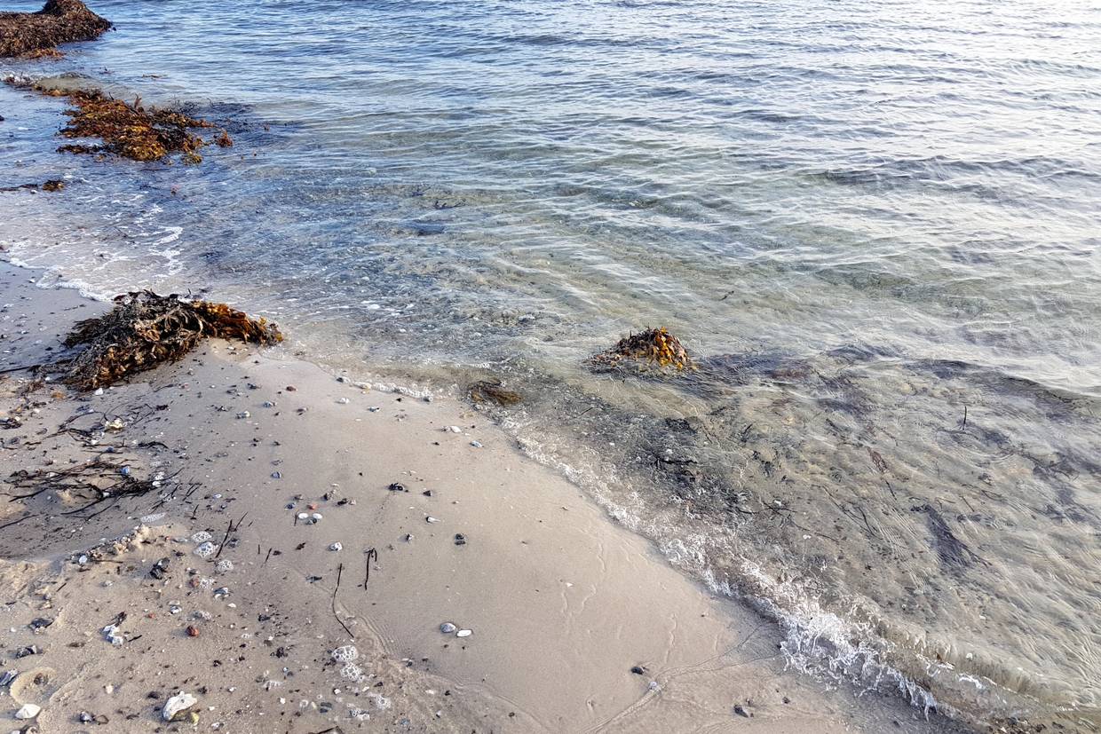 Foto von Sønderby Strand