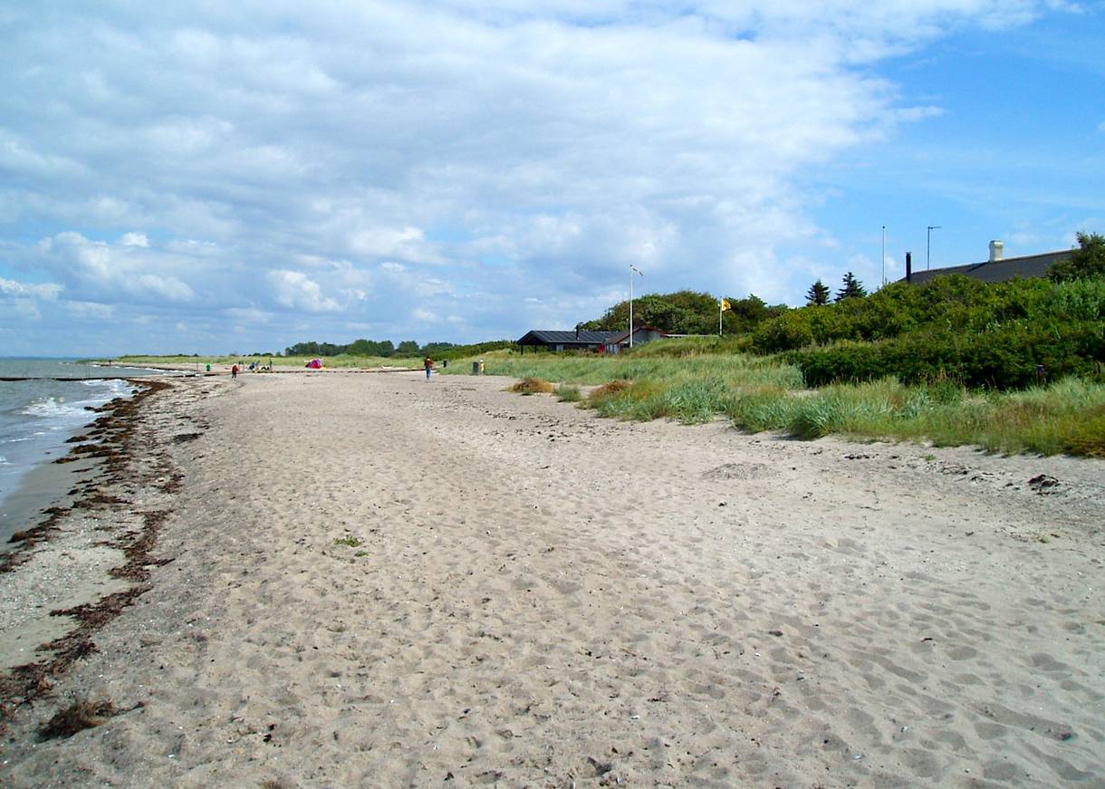 Sandstrand, dahinter Häuser zwischen Büschen und Bäumen