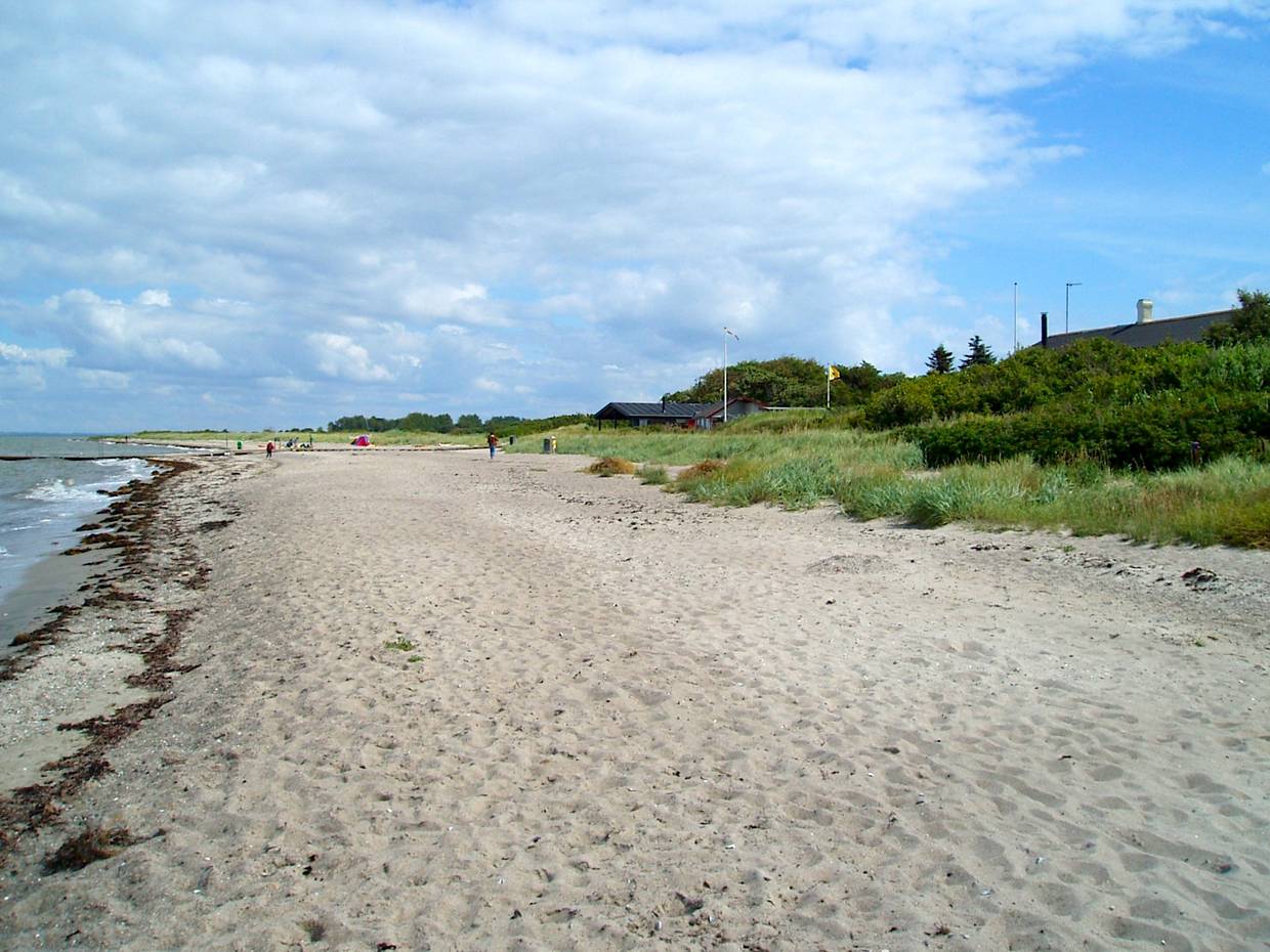 Sandstrand, dahinter Häuser zwischen Büschen und Bäumen
