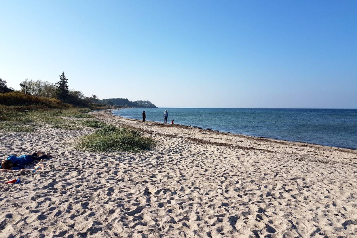 Foto von Købingsmark Strand