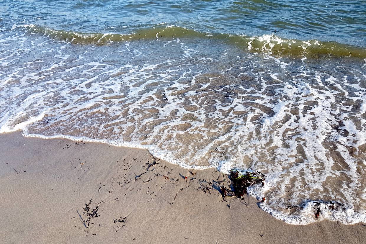 Foto von Købingsmark Strand