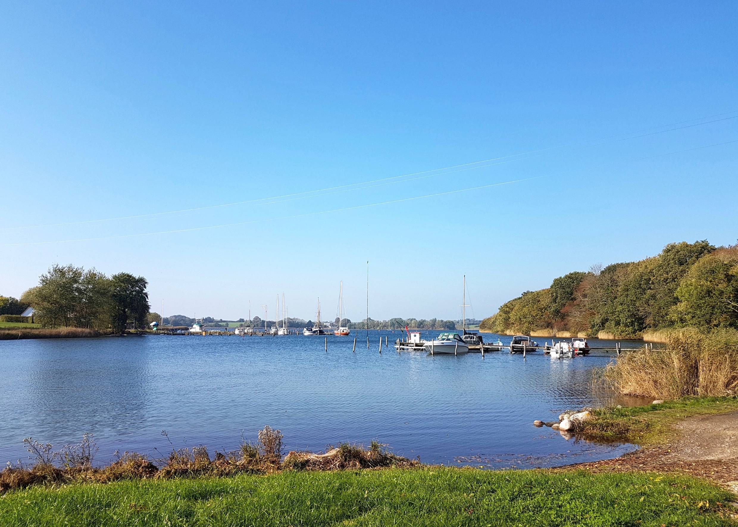Bootsstege in einem See, umgeben von Laubwald