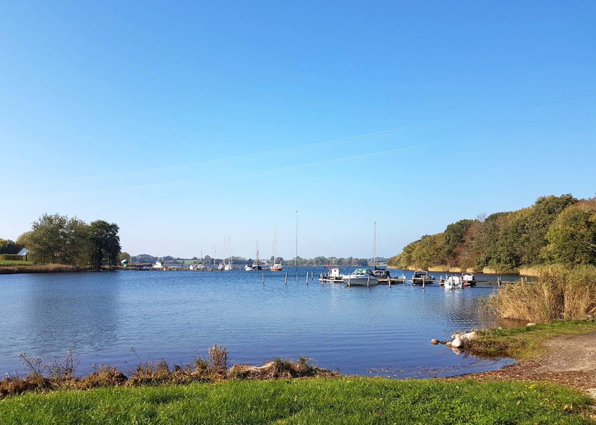 Bootsstege in einem See, umgeben von Laubwald