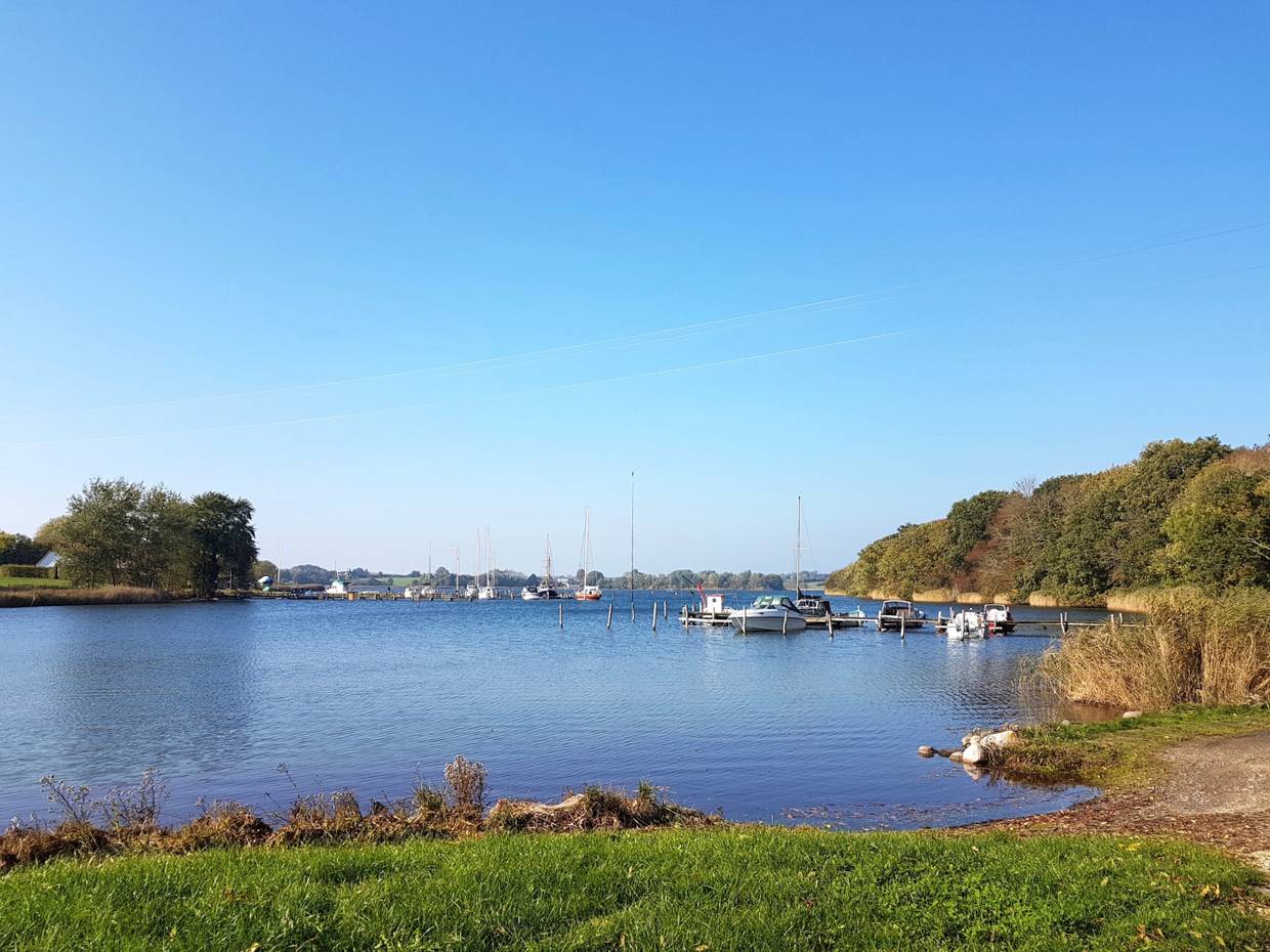 Bootsstege in einem See, umgeben von Laubwald
