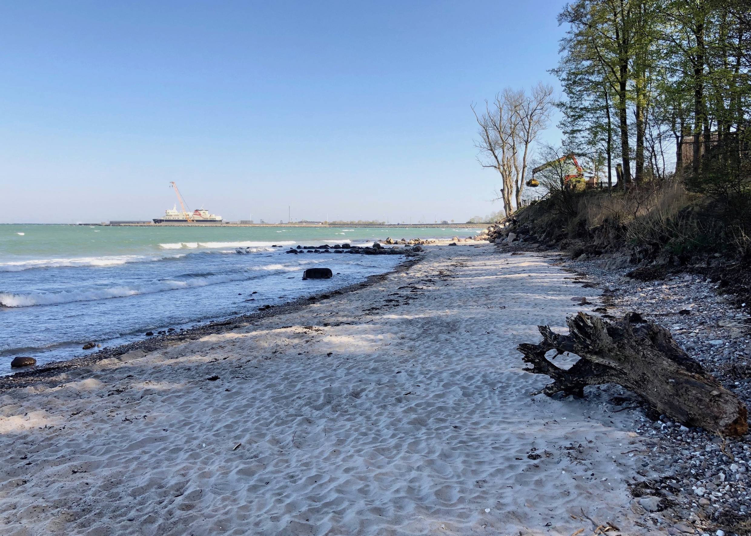 Sandstrand vor schattenwerfenden Bäumen