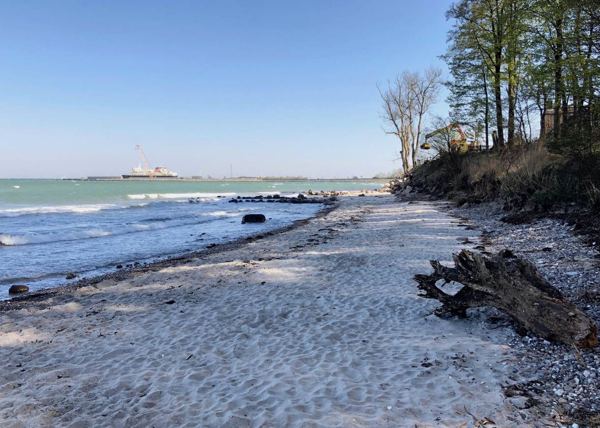 Sandstrand vor schattenwerfenden Bäumen