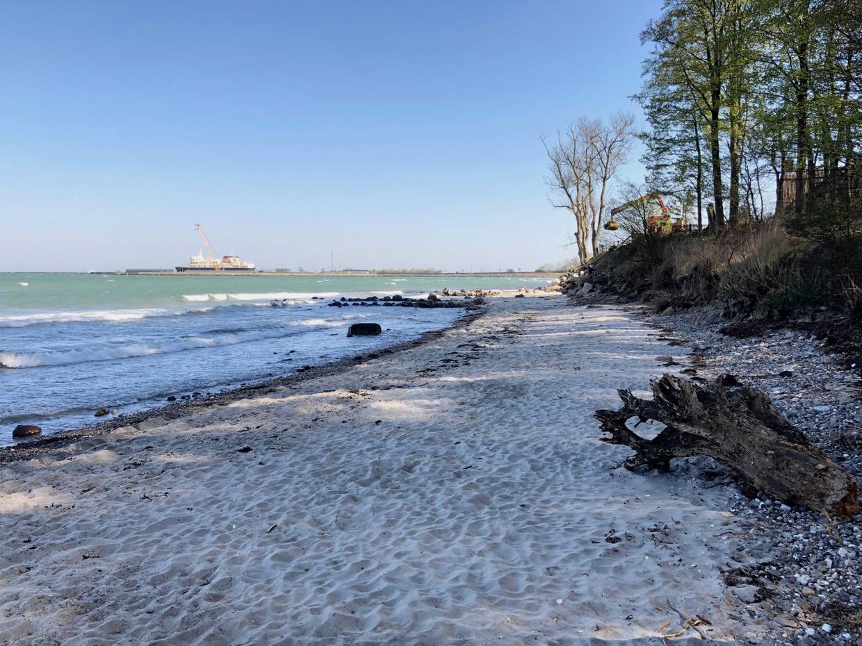 Sandstrand vor schattenwerfenden Bäumen