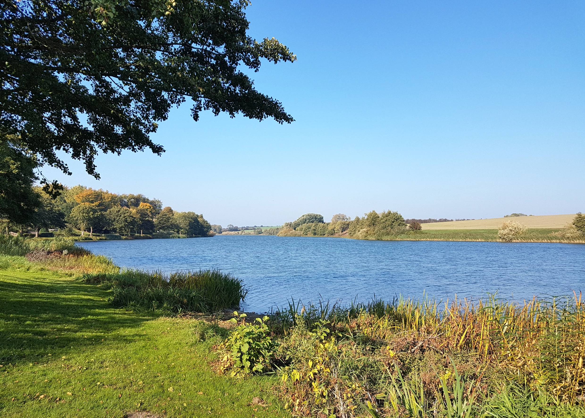 Schmaler, langer See zwischen Bäumen und Wiesen