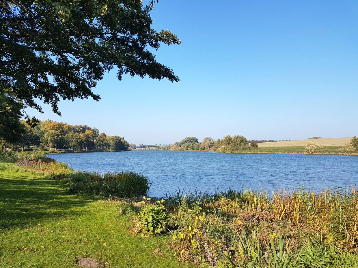 Schmaler, langer See zwischen Bäumen und Wiesen