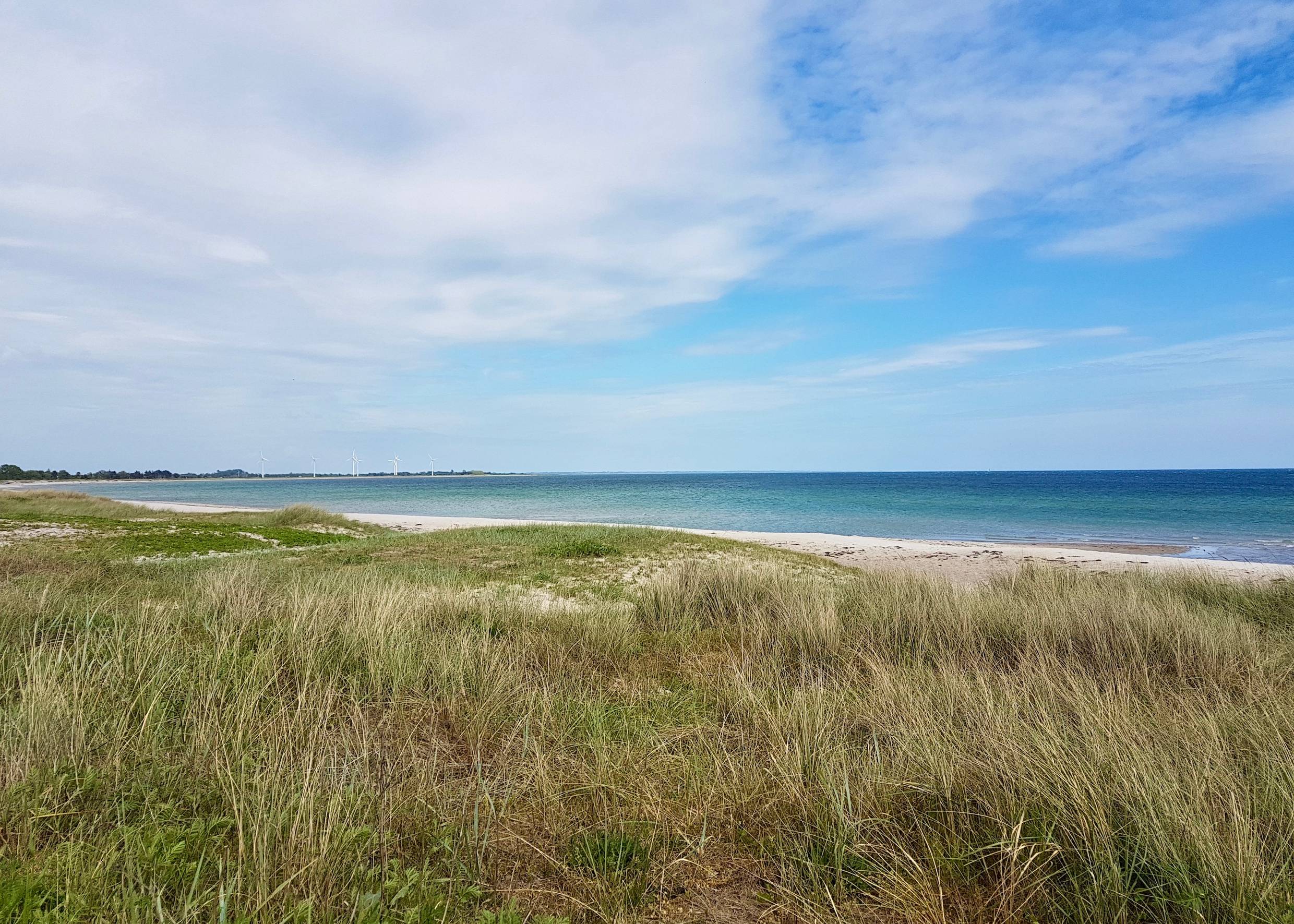 Blick von den flachen Dünen auf die Ostsee, im Hintergrund Windräder