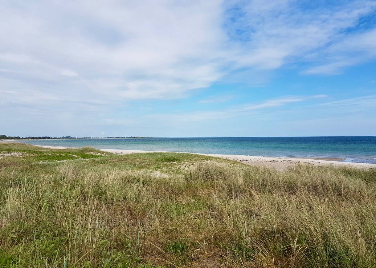 Blick von den flachen Dünen auf die Ostsee, im Hintergrund Windräder