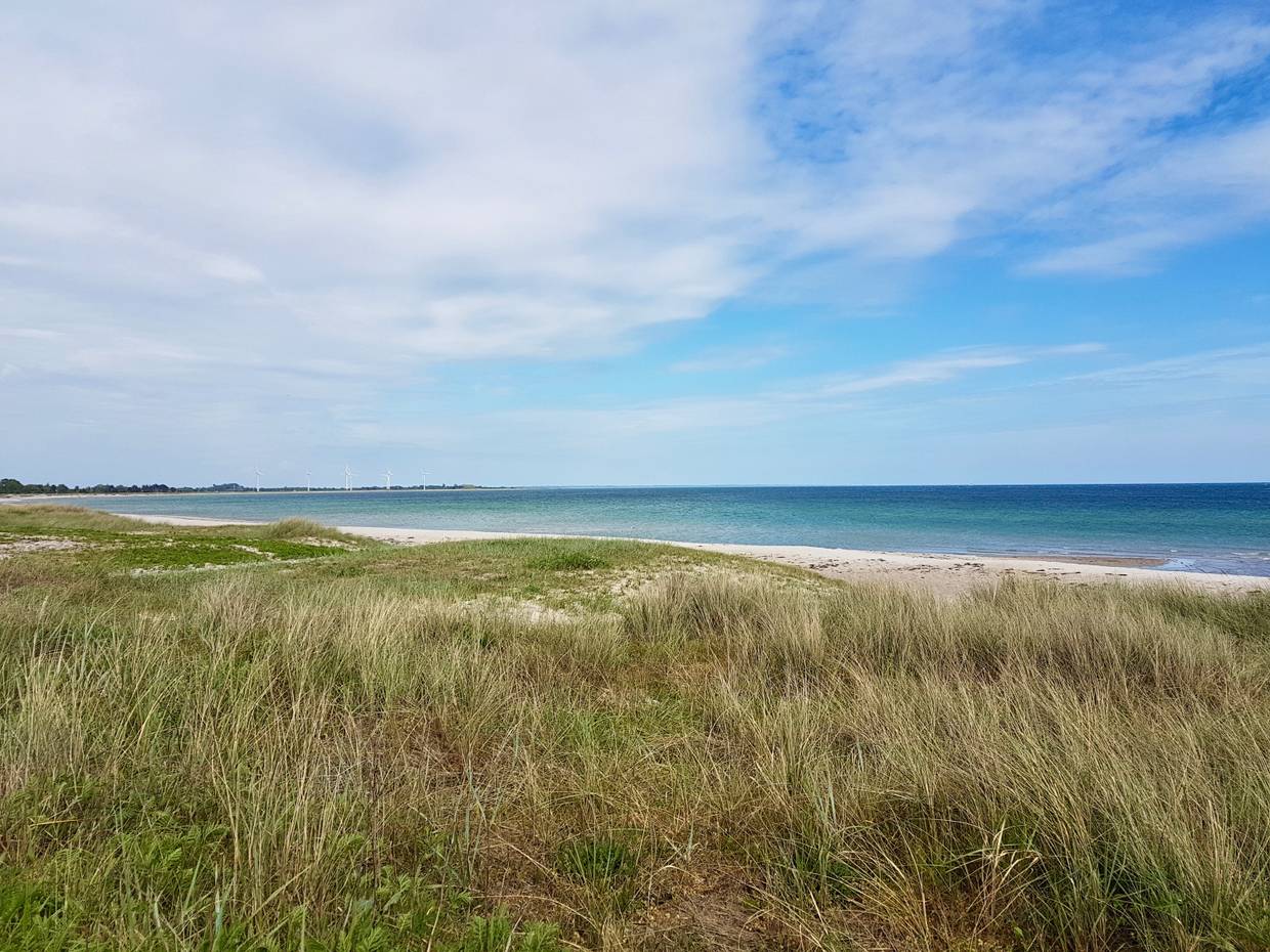 Blick von den flachen Dünen auf die Ostsee, im Hintergrund Windräder