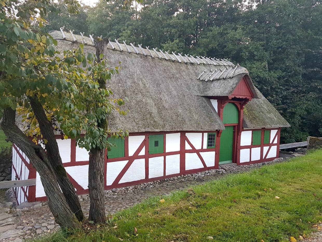 Ein kleines Fachwerkhaus mit Reetdach am Waldrand