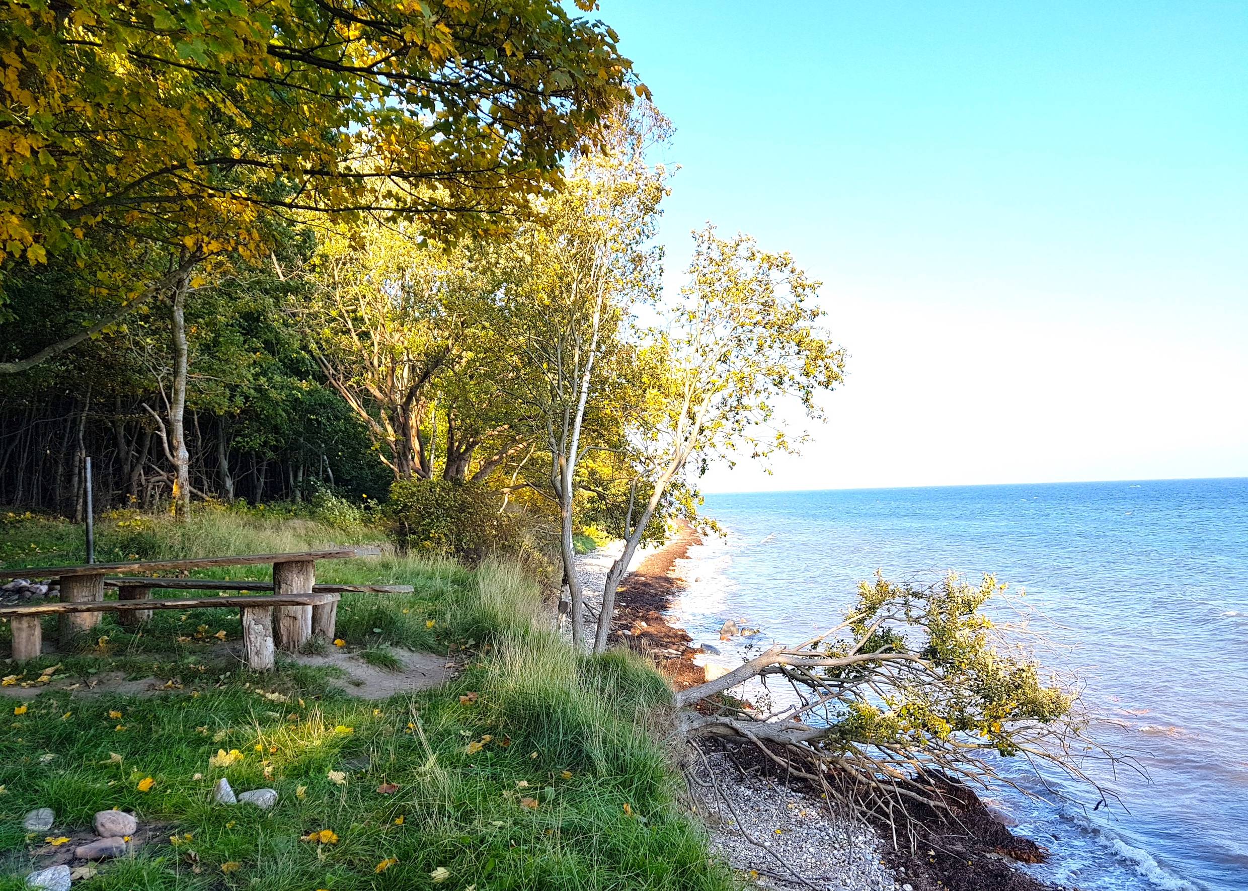 Alte Picknickbank am Waldrand direkt vor dem Meer