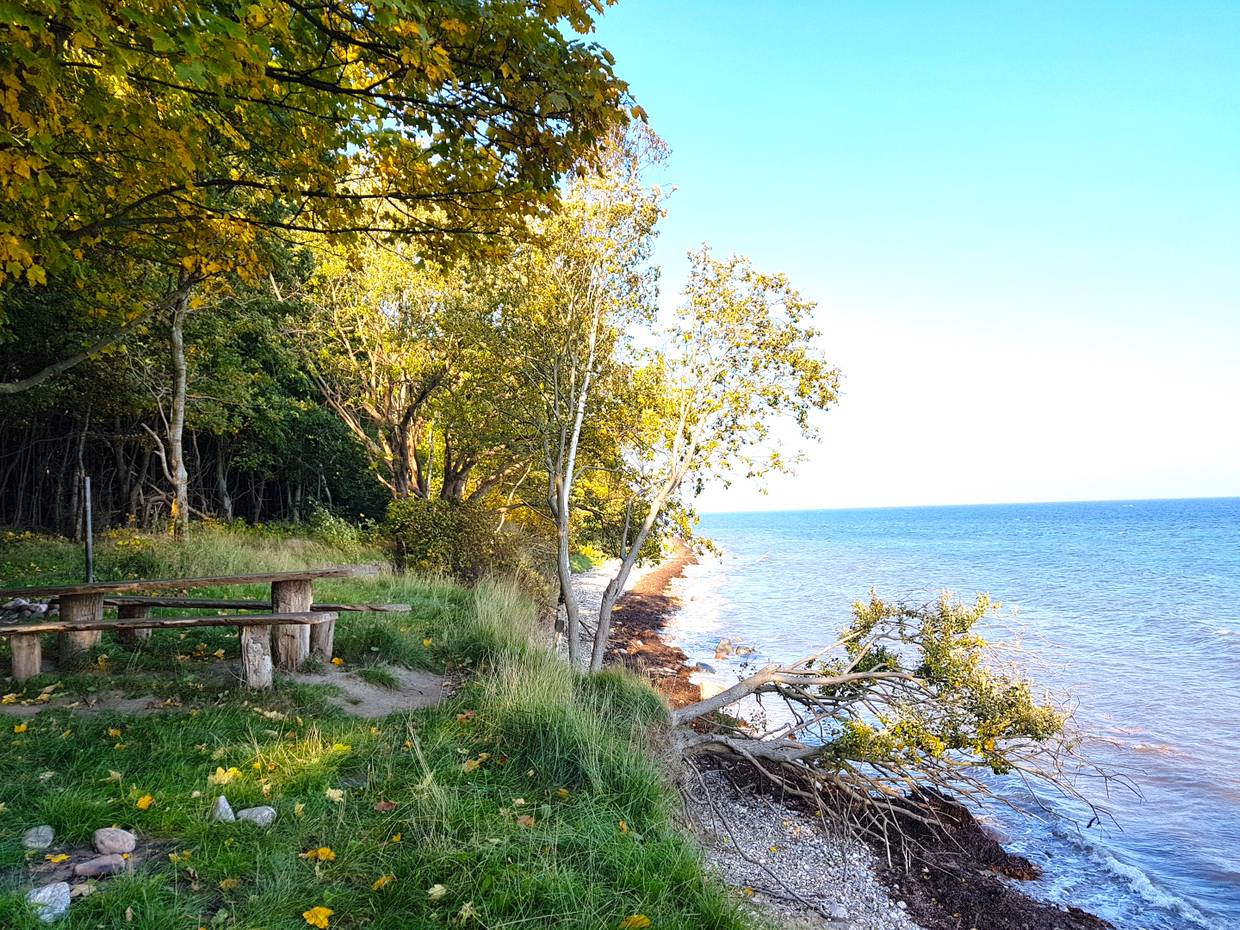 Alte Picknickbank am Waldrand direkt vor dem Meer
