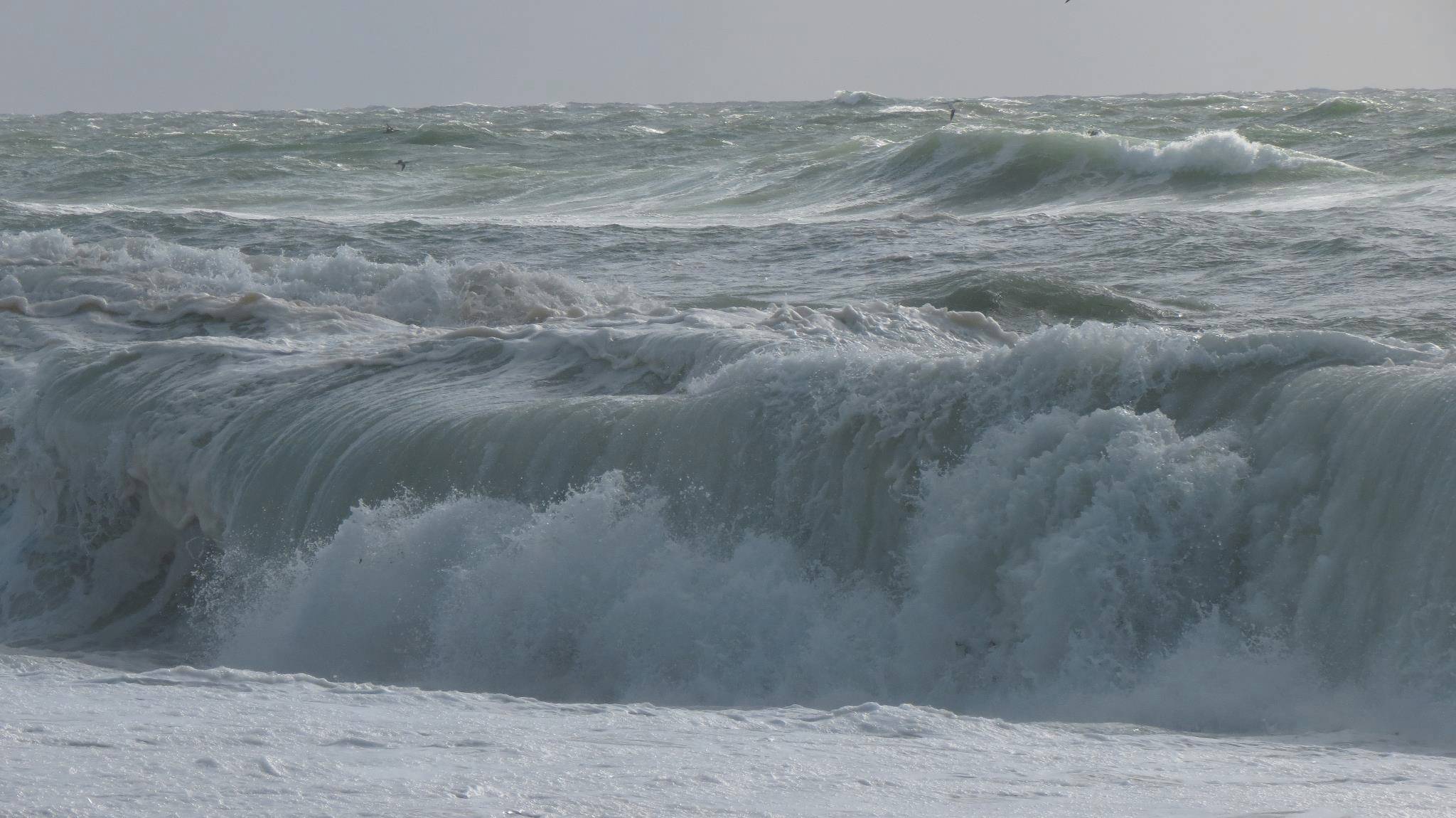 Große Brandungswellen an der Nordsee