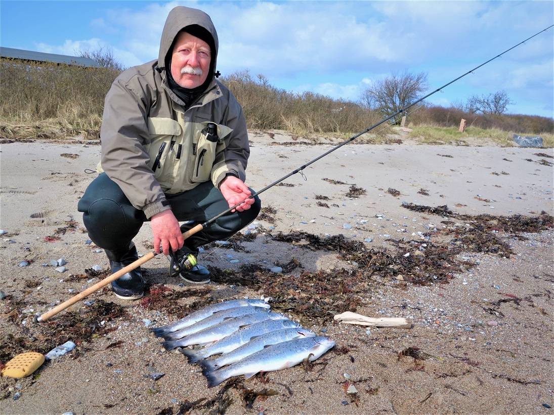 Angler am Strand von Langeland vor einer Reihe Meerforellen
