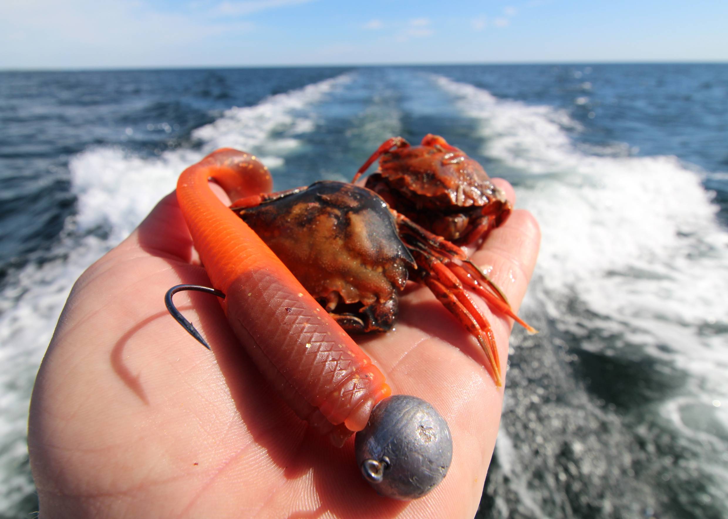 Zwei Krebse und ein gleichfarbger Köder in eienr Hand