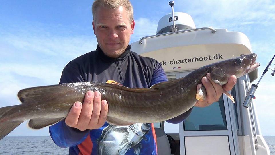 Angler zeigt einen langen, schlanken Fisch