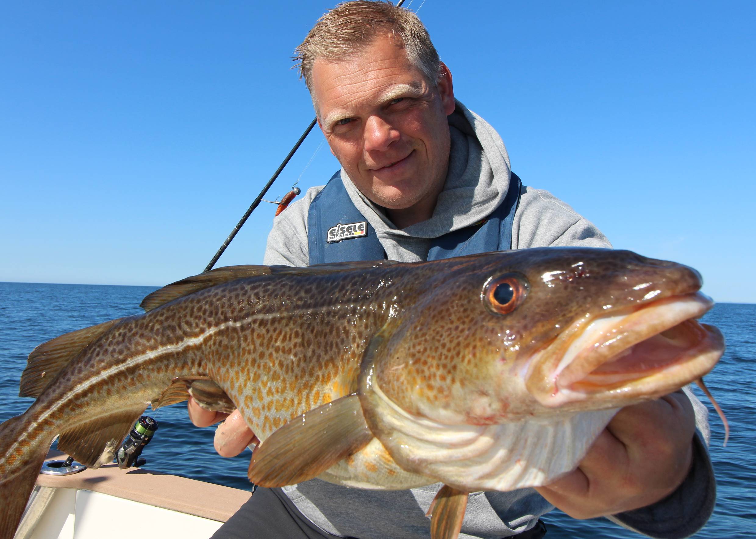 Angler zeigt einen großen Dorsche