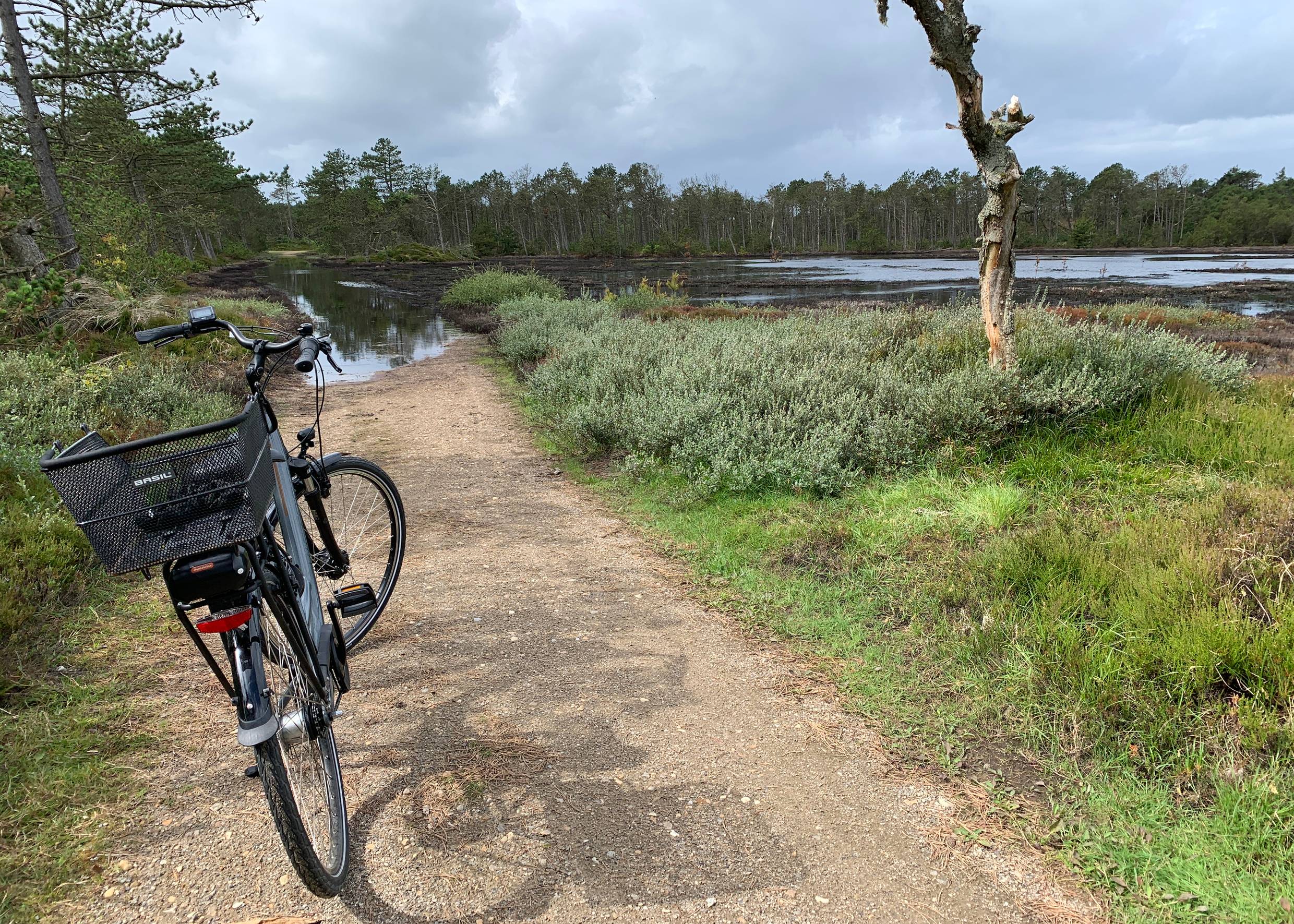 Fahrrad vor einerm überschwemmten Fahrradweg