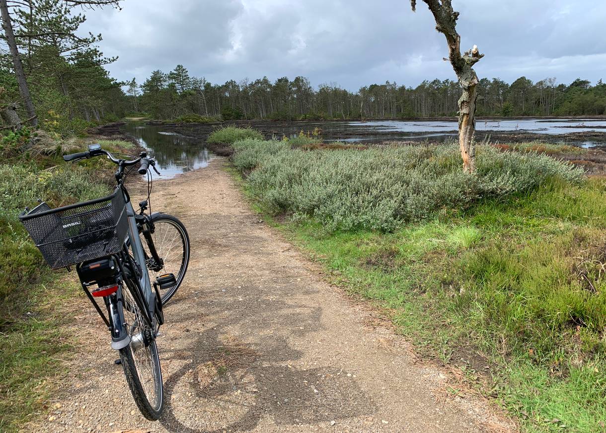 Fahrrad vor einerm überschwemmten Fahrradweg