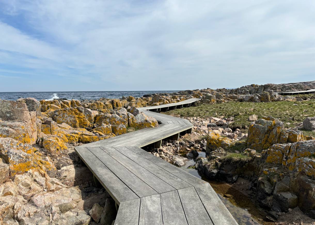 Gehweg aus Holz durch eine felsige Landschaft entlang des Meeres
