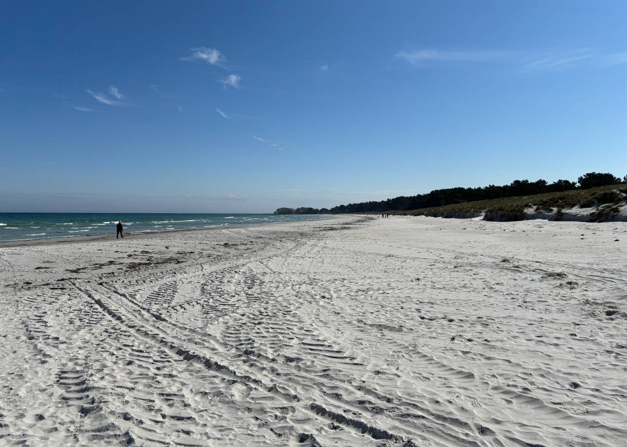 Sandbucht, dahinter Ferienhäuser zwischen den Bäumen