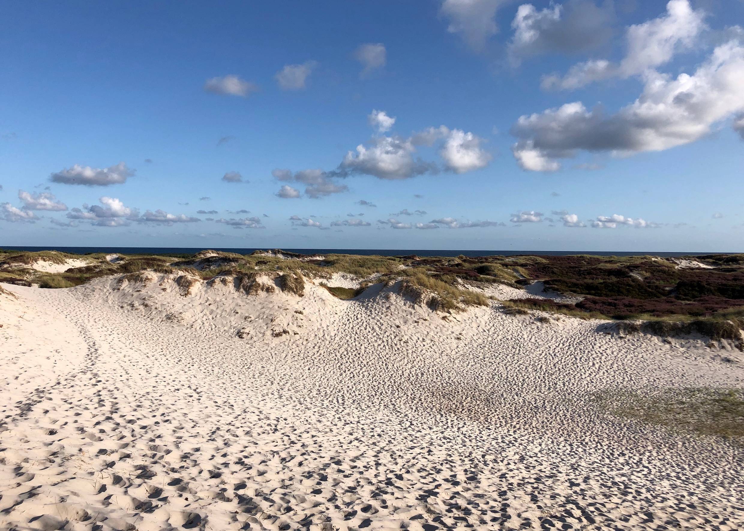 Flache Sanddünen, am Himmel weiße Schäfchenwolken
