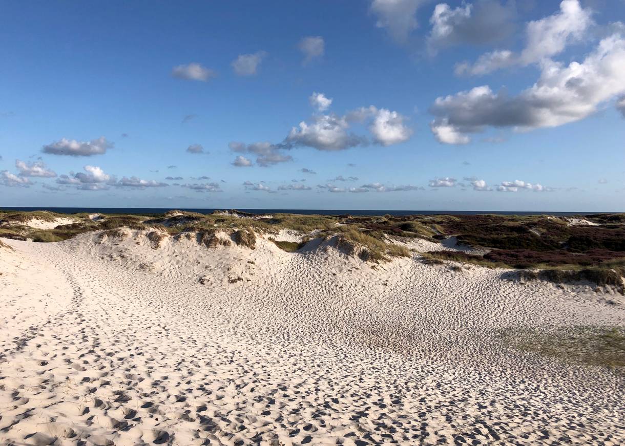 Flache Sanddünen, am Himmel weiße Schäfchenwolken