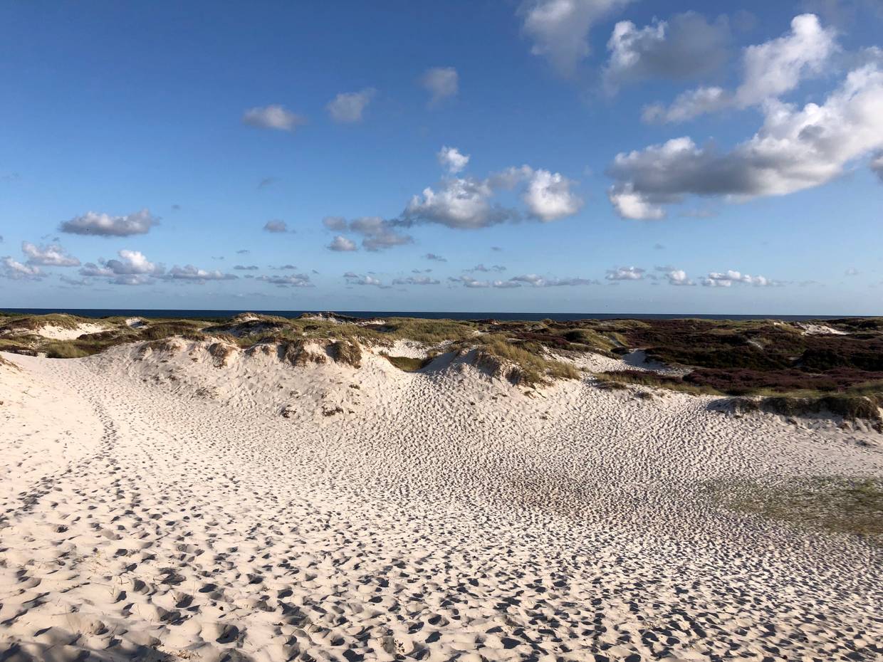 Flache Sanddünen, am Himmel weiße Schäfchenwolken