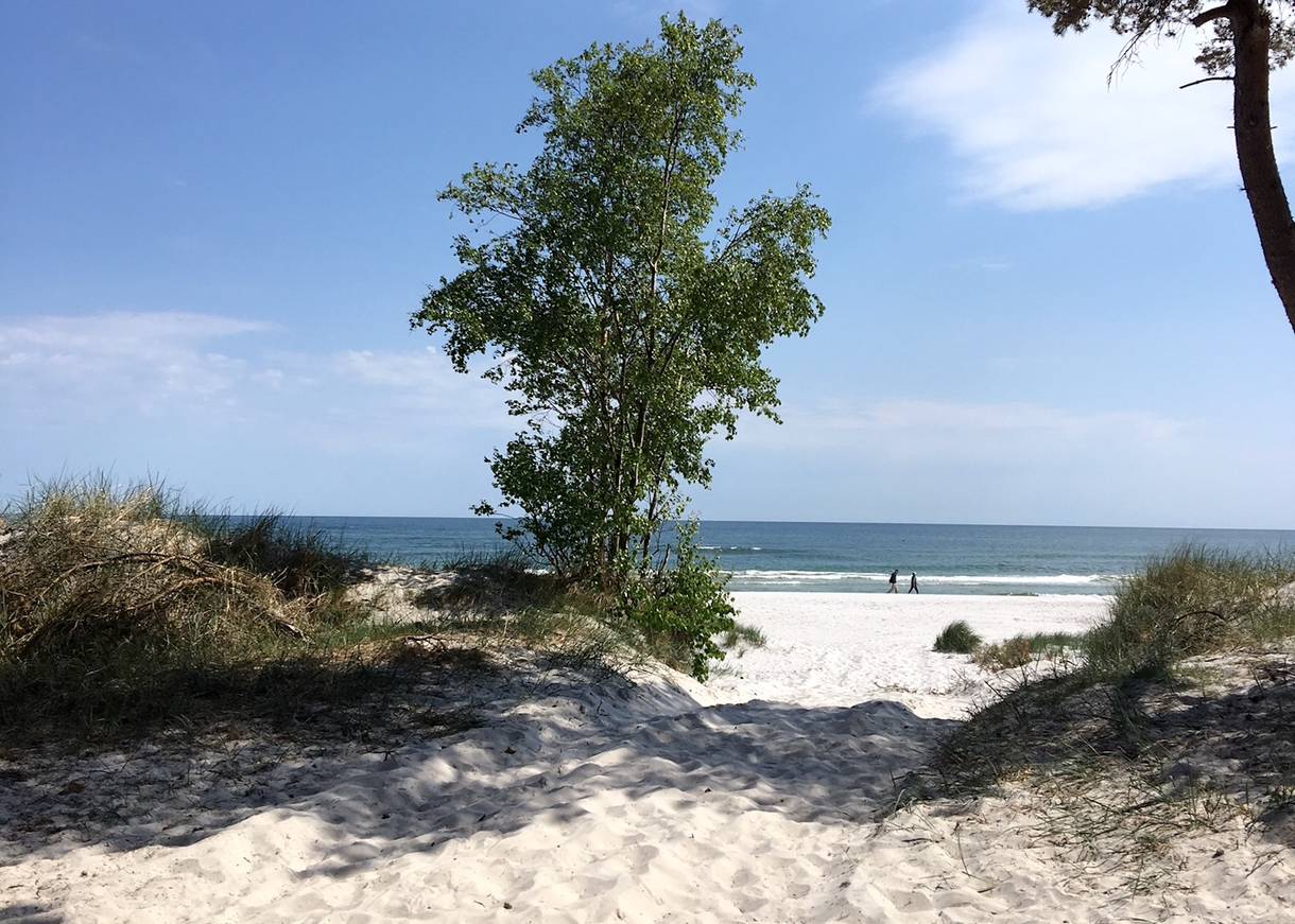 Blick zwischen Büschen hindurch auf einen weißen Sandstrand