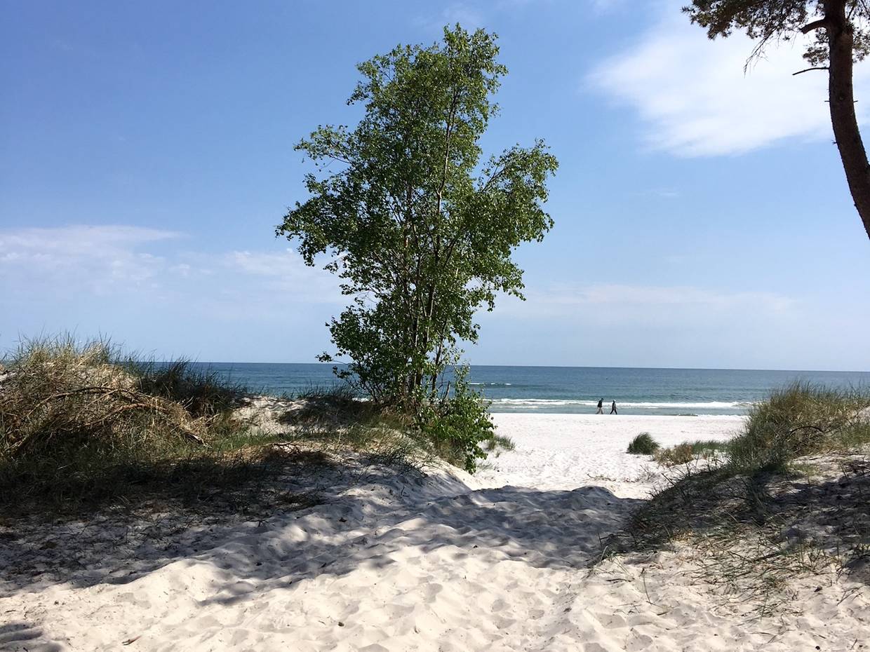 Blick zwischen Büschen hindurch auf einen weißen Sandstrand