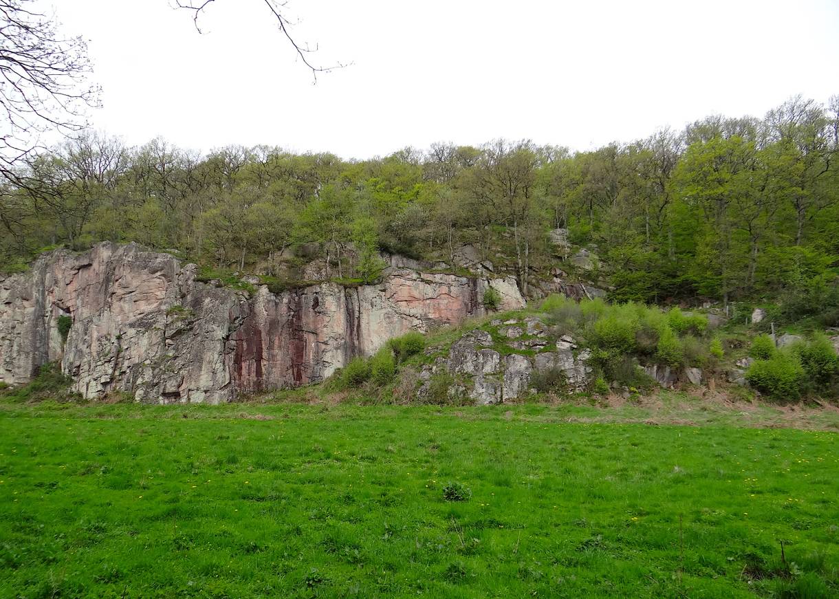 Steile Felswand hinter einer Wiese