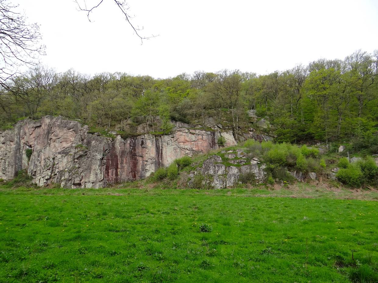 Steile Felswand hinter einer Wiese