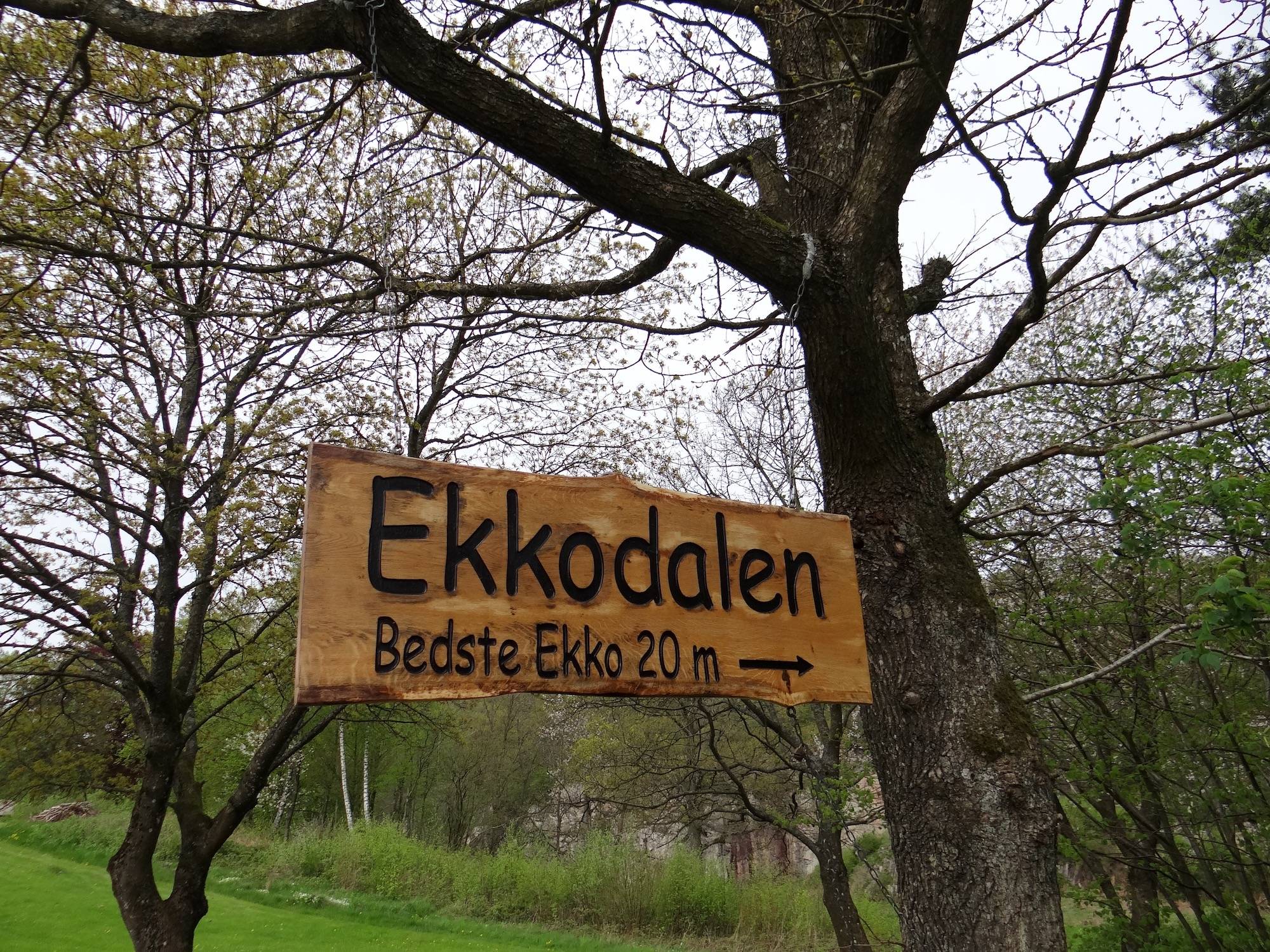 Holzschild, das in den Bäumen hängt