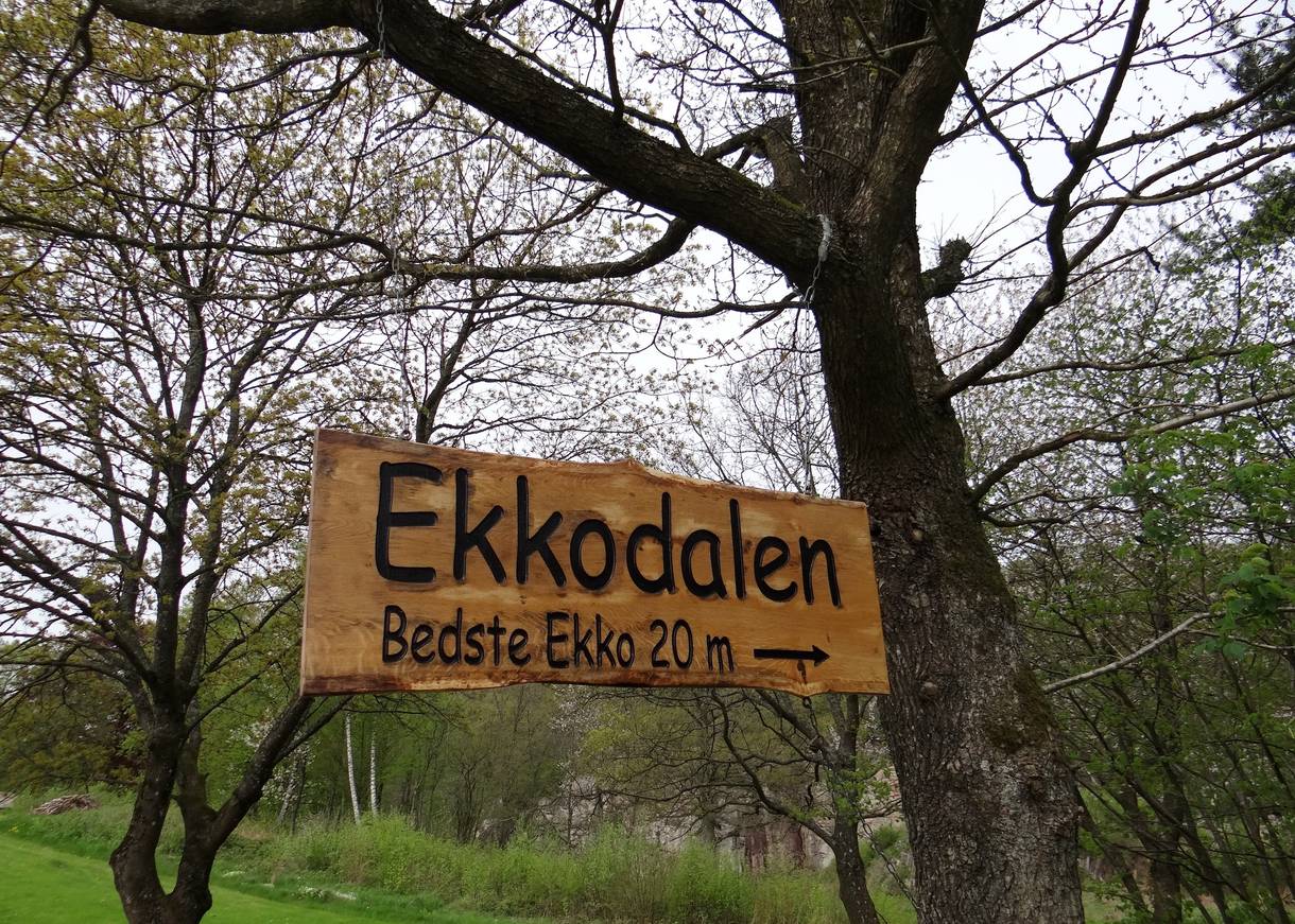 Holzschild, das in den Bäumen hängt