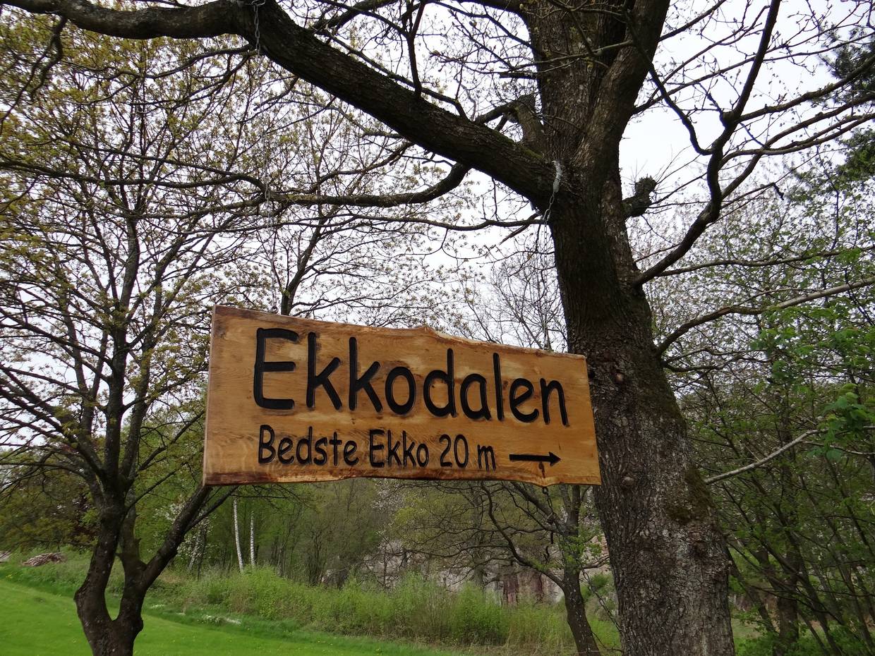 Holzschild, das in den Bäumen hängt
