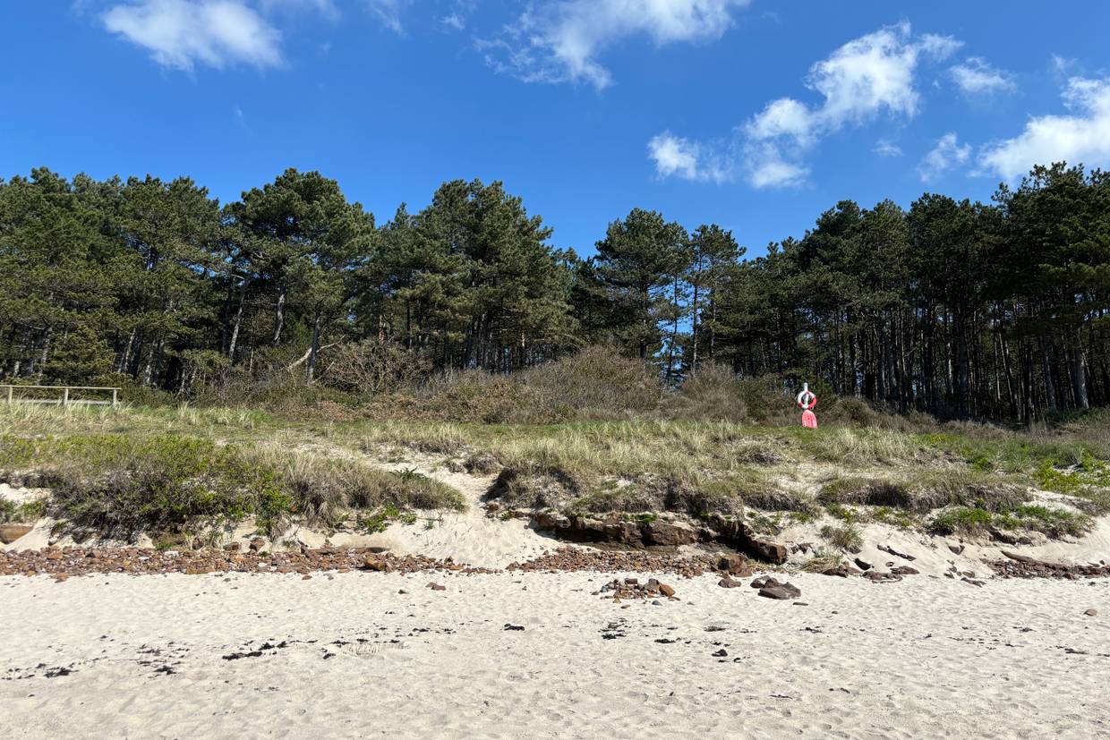 Foto von Hasle Strand Süd