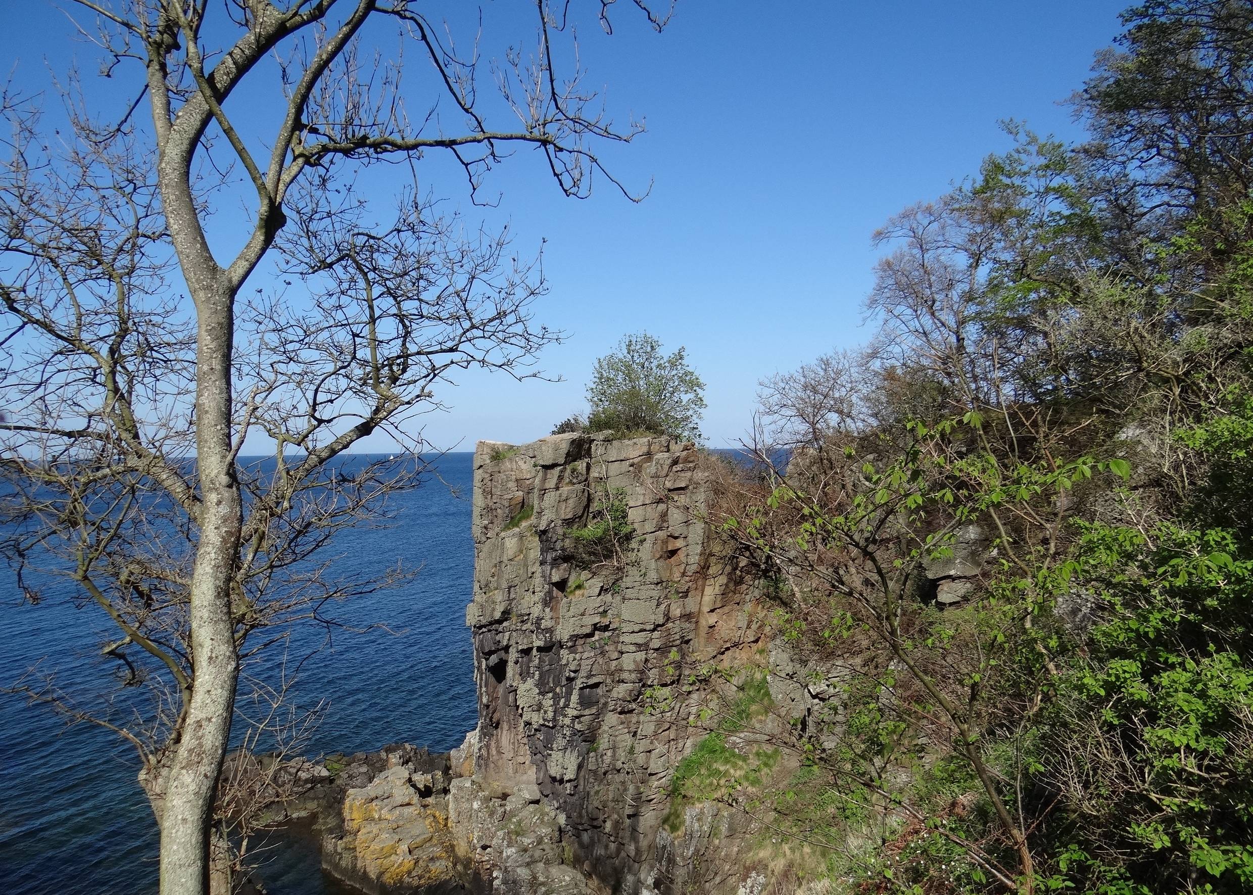 Granitformationen am Meer, oben von Büschen bewachsen