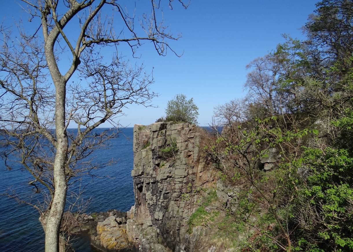 Granitformationen am Meer, oben von Büschen bewachsen