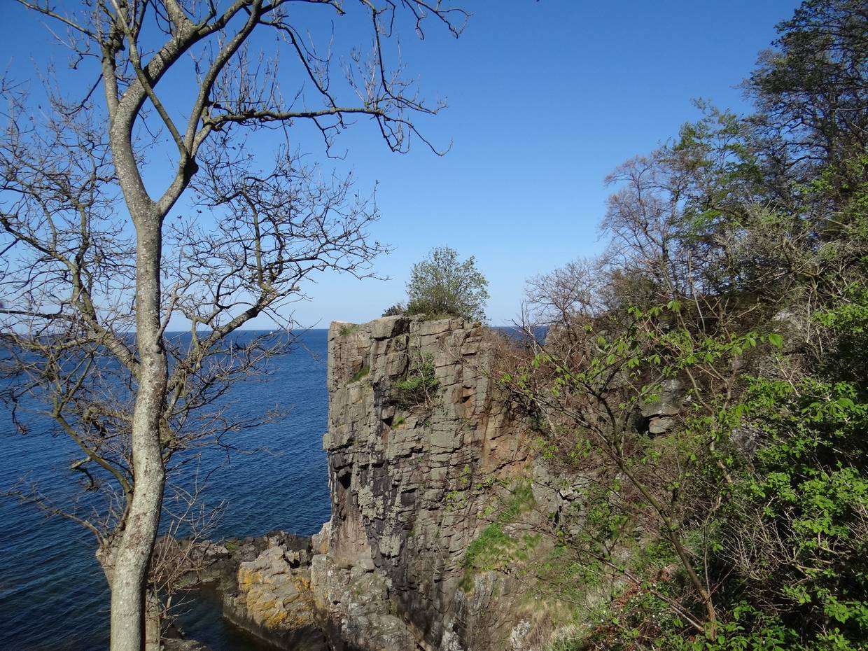 Granitformationen am Meer, oben von Büschen bewachsen
